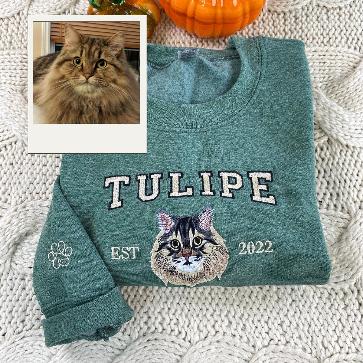 Custom Cat Est Year Hoodies - Personalized Pet Portrait Varsity - Cat Anniversary Commemoration Apparel - Image 1