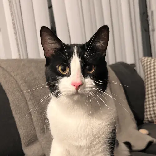 ezgif.com-animated-gif-maker_1d21eea7-c121-4ea4-b122-600f521ab000