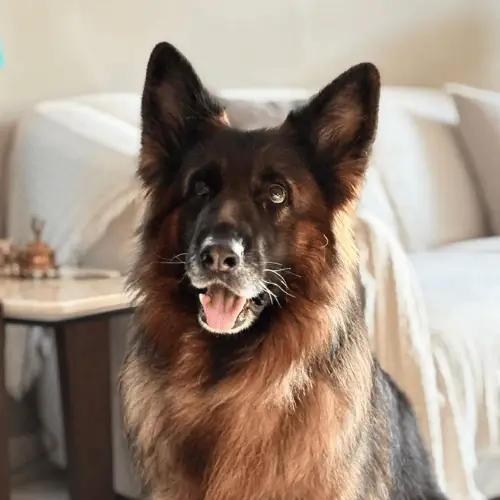 ezgif.com-animated-gif-maker_df161e10-43a1-48b3-a44c-46f41ef177c6